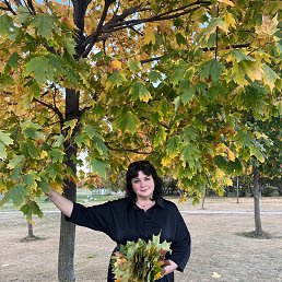 ���� �����, ������, 52 ���� - ��������� 24 ������� 2023