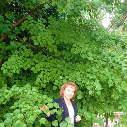 ������, �����������, 63 ����