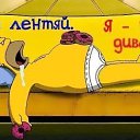���� �������, ������������, 40 ��� - ��������� 29 ���� 2026 � ������ ���� ����������