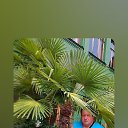 ���� �����, ������� ��������, 55 ��� - ��������� 5 ������ 2026