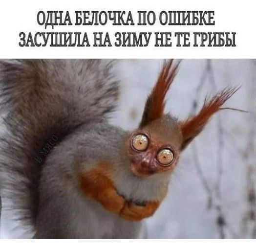   - 3  2024  12:47