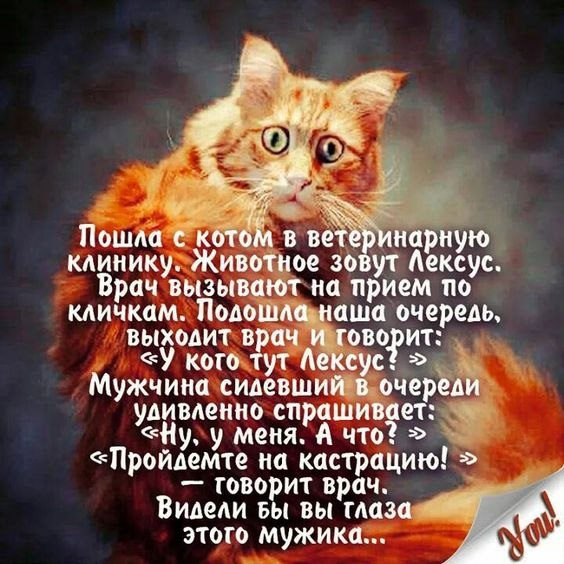   - 13  2024  12:31