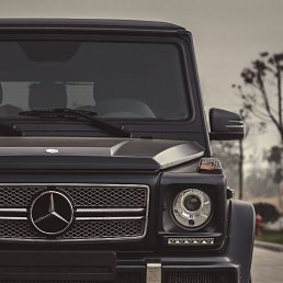 ���� ������ ���������, ����������, 19 ��� - ��������� 22 ���� 2026
