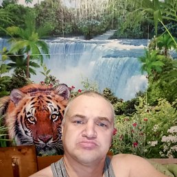, 45 , 