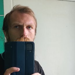 , 31, 
