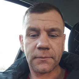 ��������, ����, 41 ���