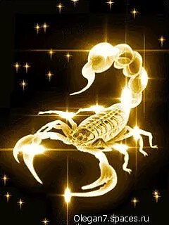 ���� ����, ������, 24 ���� - ��������� 20 ������� 2024