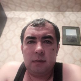 , 41, 