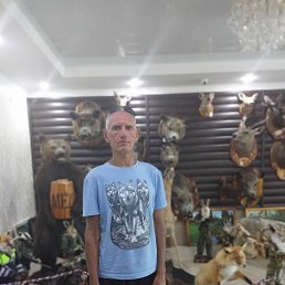, 46, 