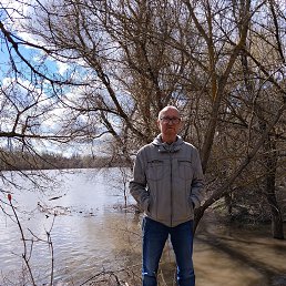 ���� �������, ������, 53 ���� - ��������� 13 ������ 2026