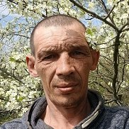 , 41 , 