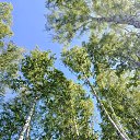 ���� �����, ���� - ��������� 17 ��� 2026 � ������ ������ ��������