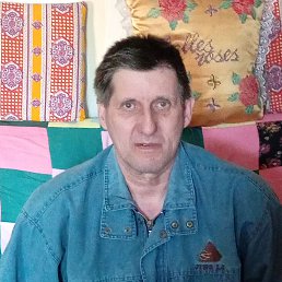 , 61, 