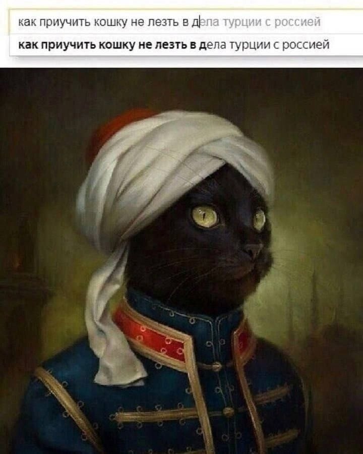   - 11  2025  20:31
