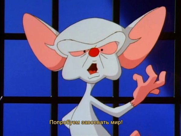 Pinky and the Brain /   , 1995  1998 - 4