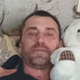  ,  , 44 