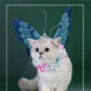 ���� �������, ������, 40 ��� - ��������� 25 �������� 2024 � ������ ���� ����������