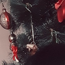 �����, ��������, 42 ����