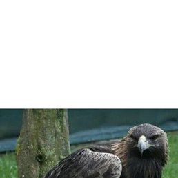 ���� ����, �������, 22 ���� - ��������� 3 ������ 2024