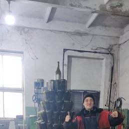 , 37, 