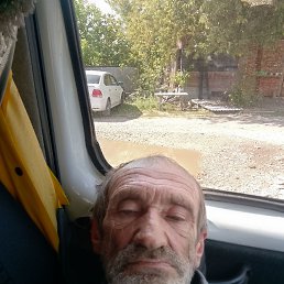 , 61, 