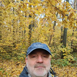 , 55 , 