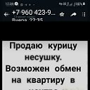 ���� ��������, ���������, 29 ��� - ��������� 26 ������� 2023 � ������ ���� ����������