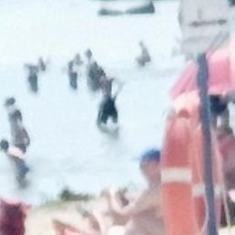 ������, ���������, 44 ����