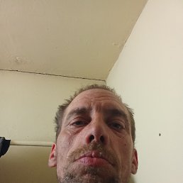 ���� ������, ����������, 42 ���� - ��������� 5 ����� 2026