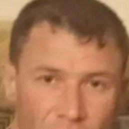 , 37 , 