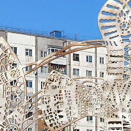 ���� �����, ����, 61 ��� - ��������� 14 ������� 2026