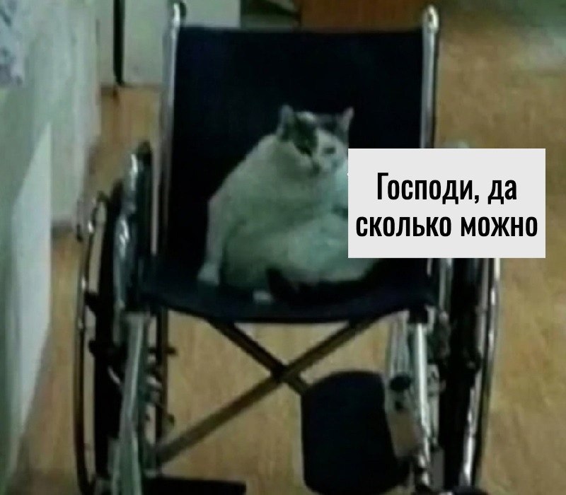      - 3