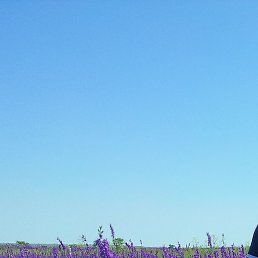 ��������, ��������, 58 ���