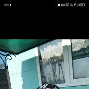 �������, 59 ���, ���������