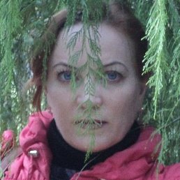 �����, �����������, 59 ���