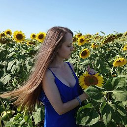 �������, ������, 40 ���