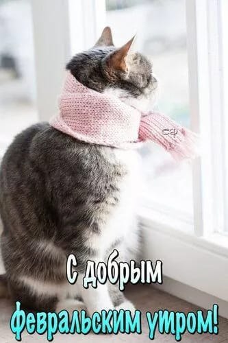 ��� ���� - 21 ������� 2026 � 11:02