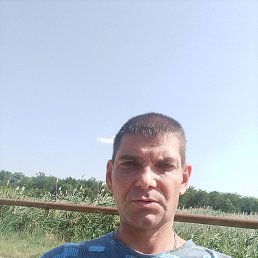 , 37, 