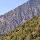 ���� �������, �����������, 35 ��� - ��������� 18 ������ 2026