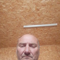 , 51, 