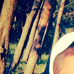 ����, ������, 36 ���