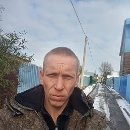 , 37, 