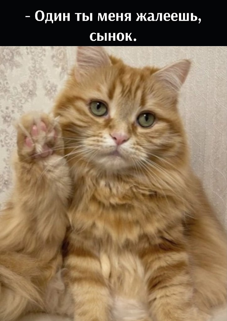       - 6  2025  17:38 - 3