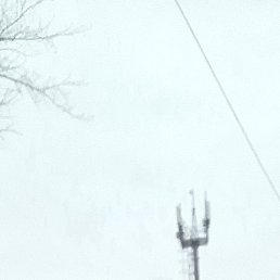 Dmitrij, ���������, 50 ���