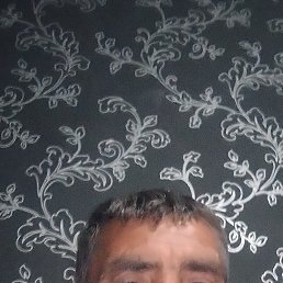 , 50, 