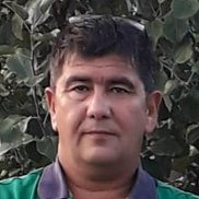 �������, 56 ���, ������