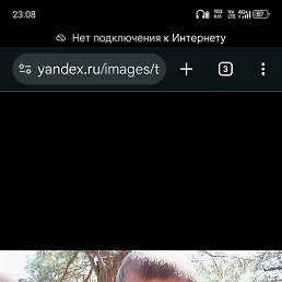 ����, ������, 36 ���