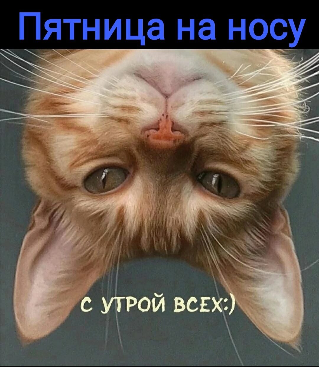 ***Victoria Viktorovna*** - 27  2023  05:20