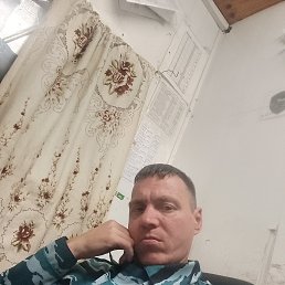 , 41 , 