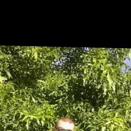 ���� ������, ����������, 41 ��� - ��������� 1 ������� 2026